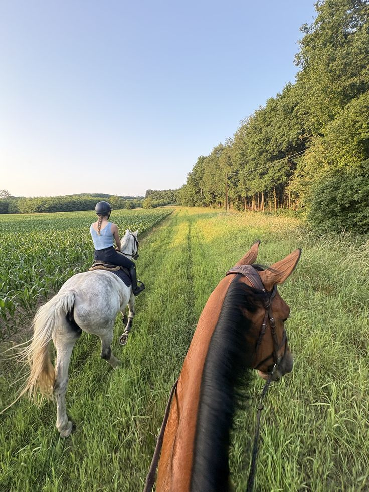 Конная прогулка